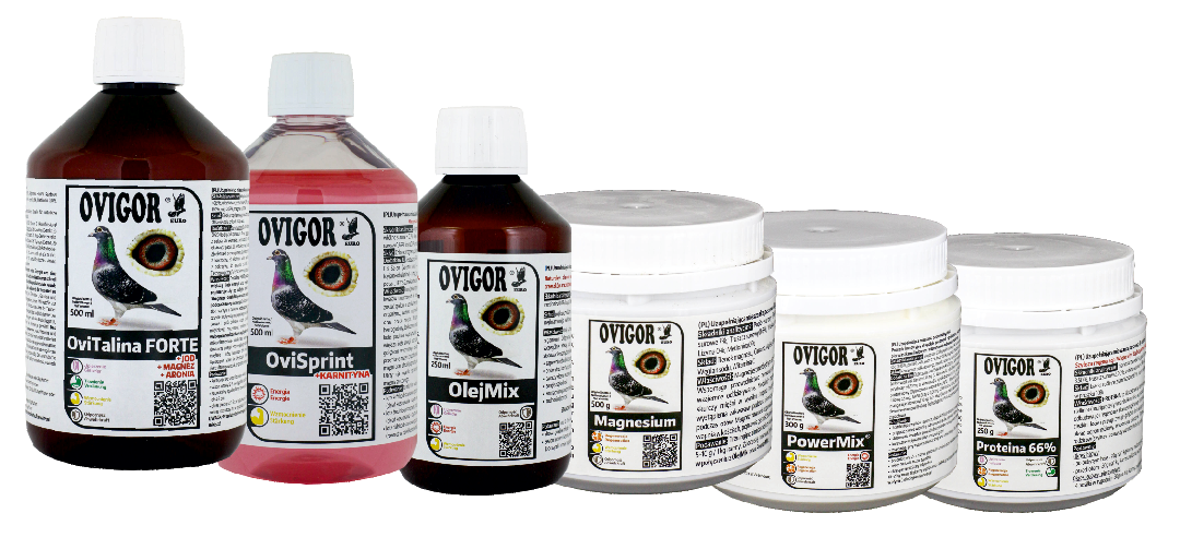 Ovigor pakiet lotowy produkty
