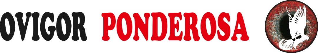 Ovigor Ponderosa Logo 1080x180