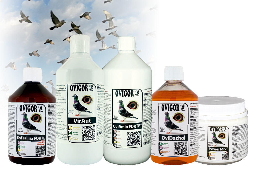 Ovigor pakiet loty mlodych produkty
