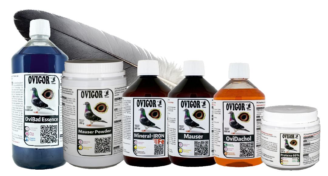 Ovigor pakiet pierzeniowy produkty