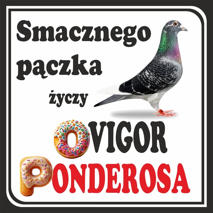 Ovigor Ponderosa