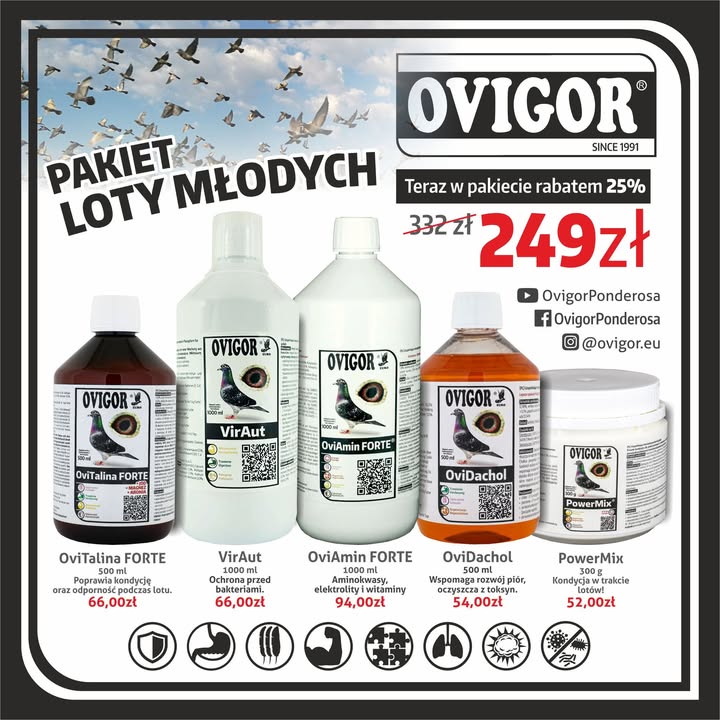 Ovigor Ponderosa