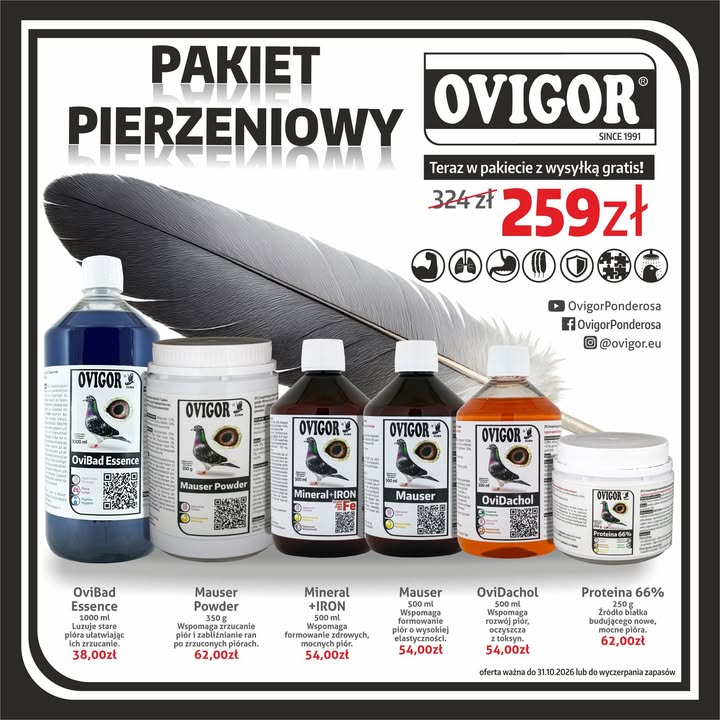 Ovigor Ponderosa