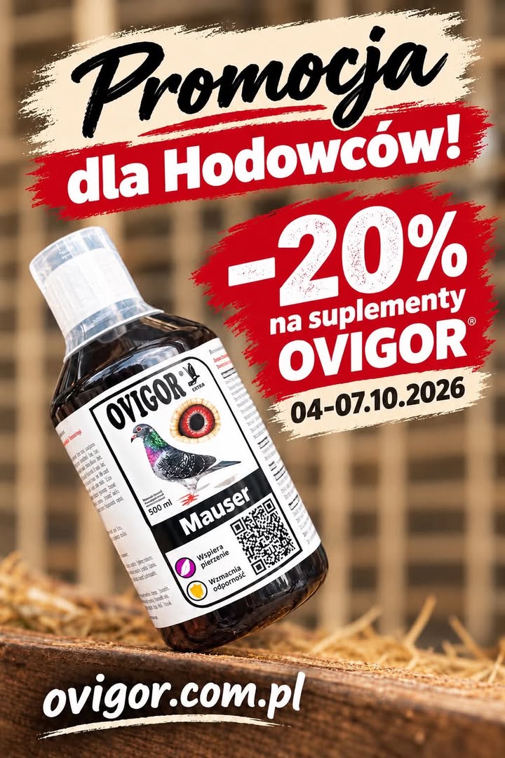 Ovigor Ponderosa