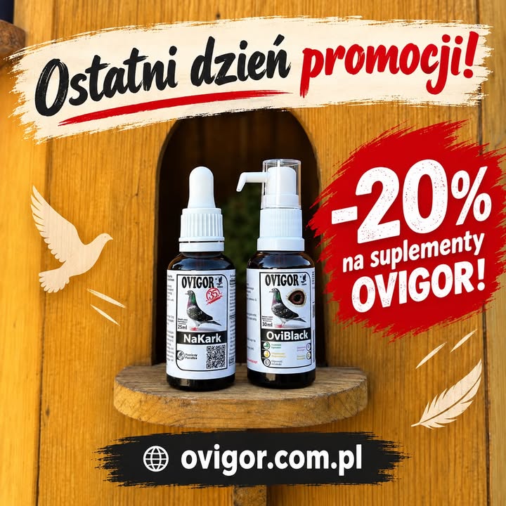 Ovigor Ponderosa